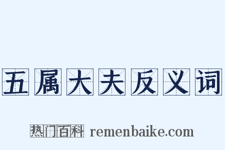 五属大夫反义词是什么意思的图片